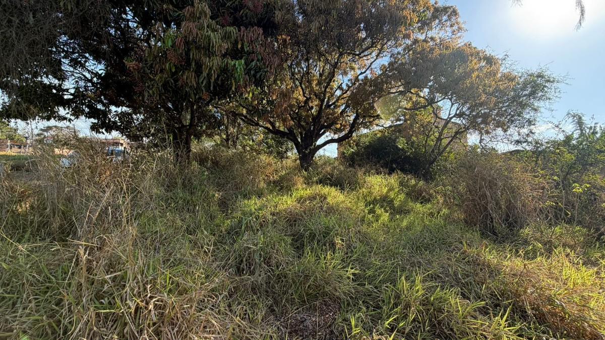 Lote, Centro, 0 Quarto, 0 Vaga