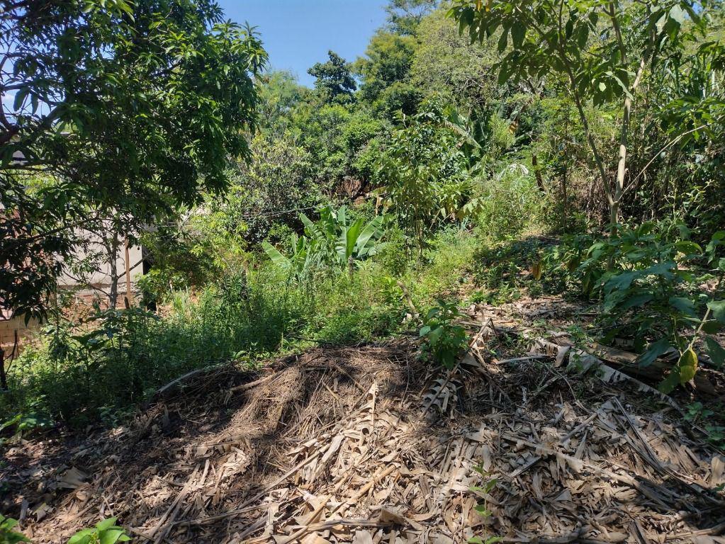 Lote, Nossa Senhora da Conceição, 0 Quarto, 0 Vaga