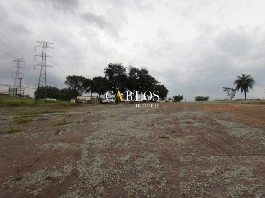 Lote, Campina Verde