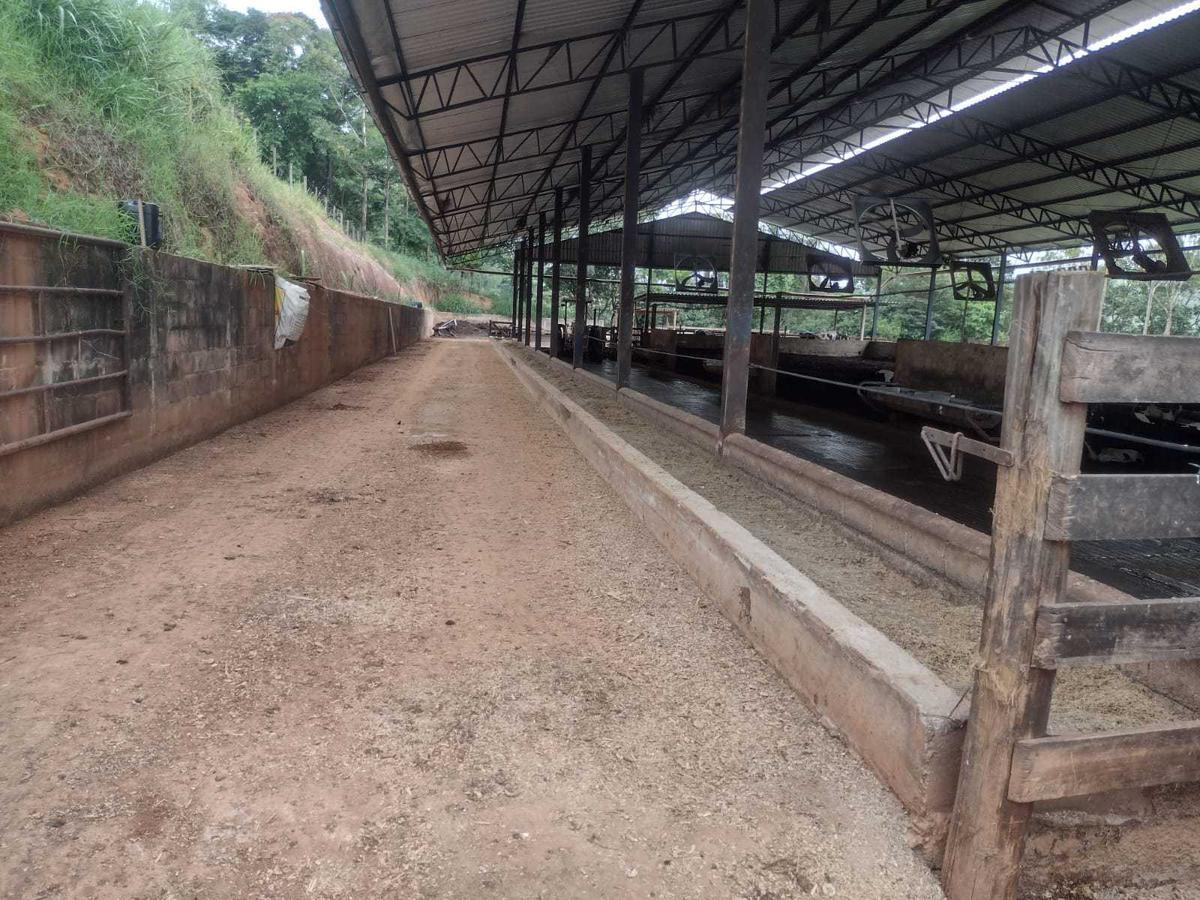 Fazenda, Zona Rural, 3 Quartos, 0 Vaga