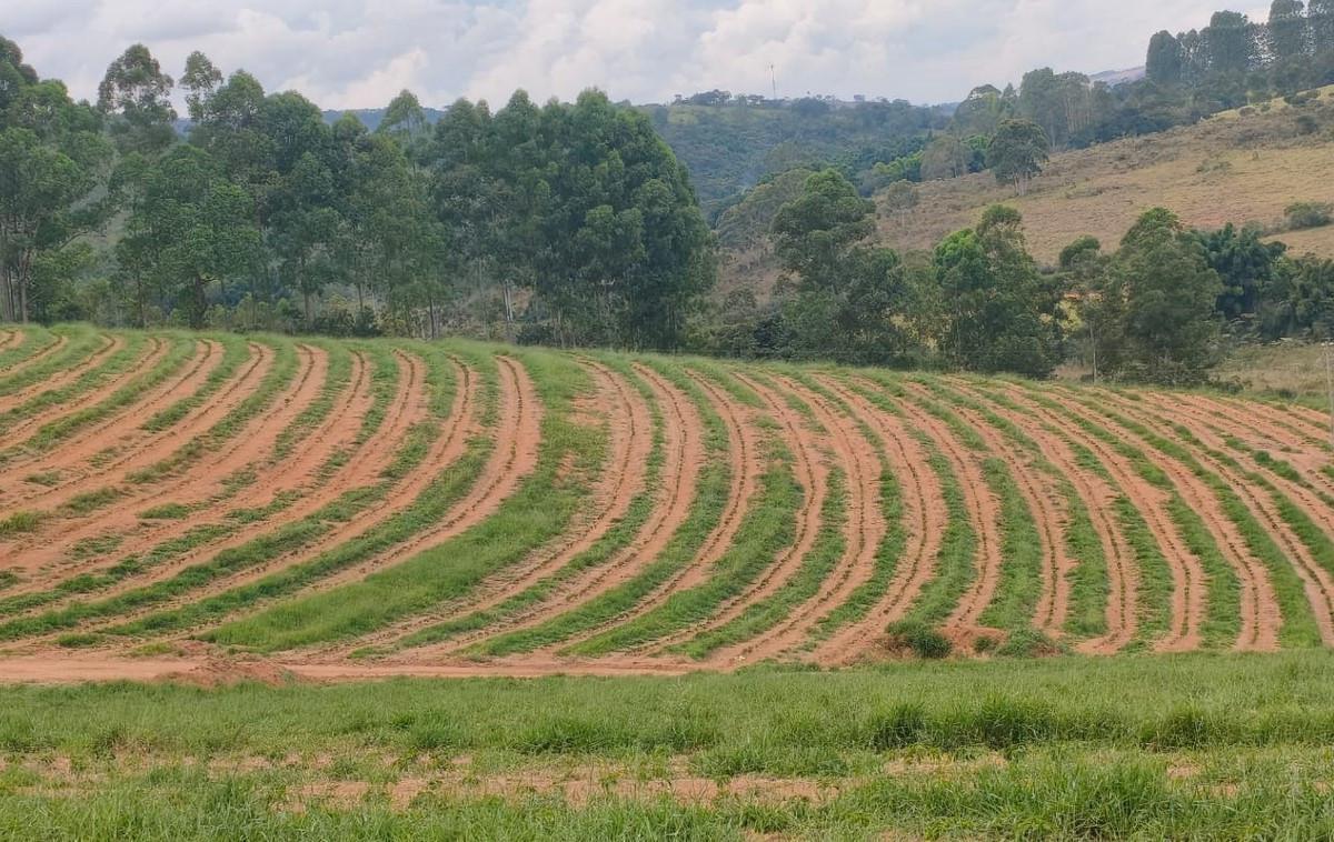 Fazenda, Zona Rural, 0 Quarto, 0 Vaga