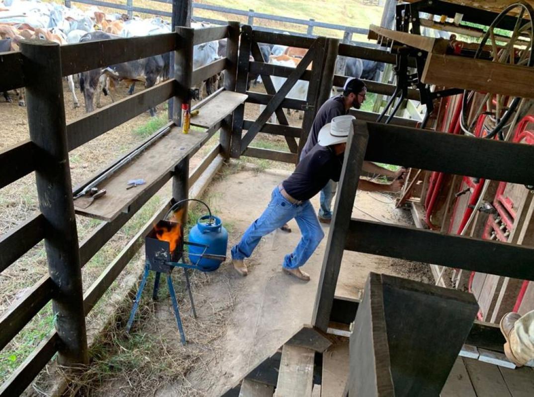 Fazenda, Zona Rural, 3 Quartos, 0 Vaga