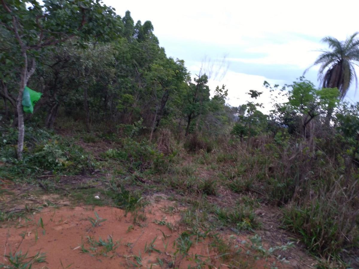 Lote, Zona Rural, 0 Quarto, 0 Vaga