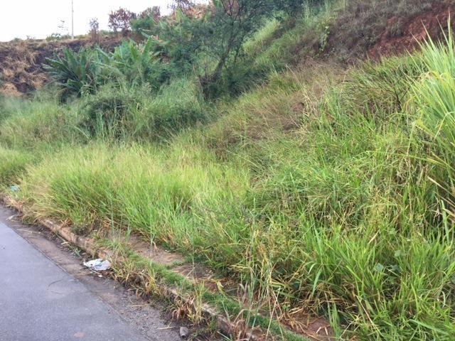 Lote, São Damião, 0 Quarto, 0 Vaga