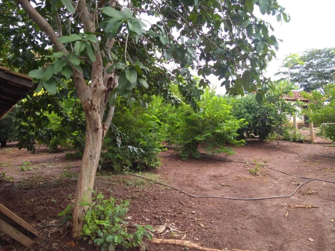 Fazenda, Zona Rural, 0 Quarto, 0 Vaga, 5 Suítes