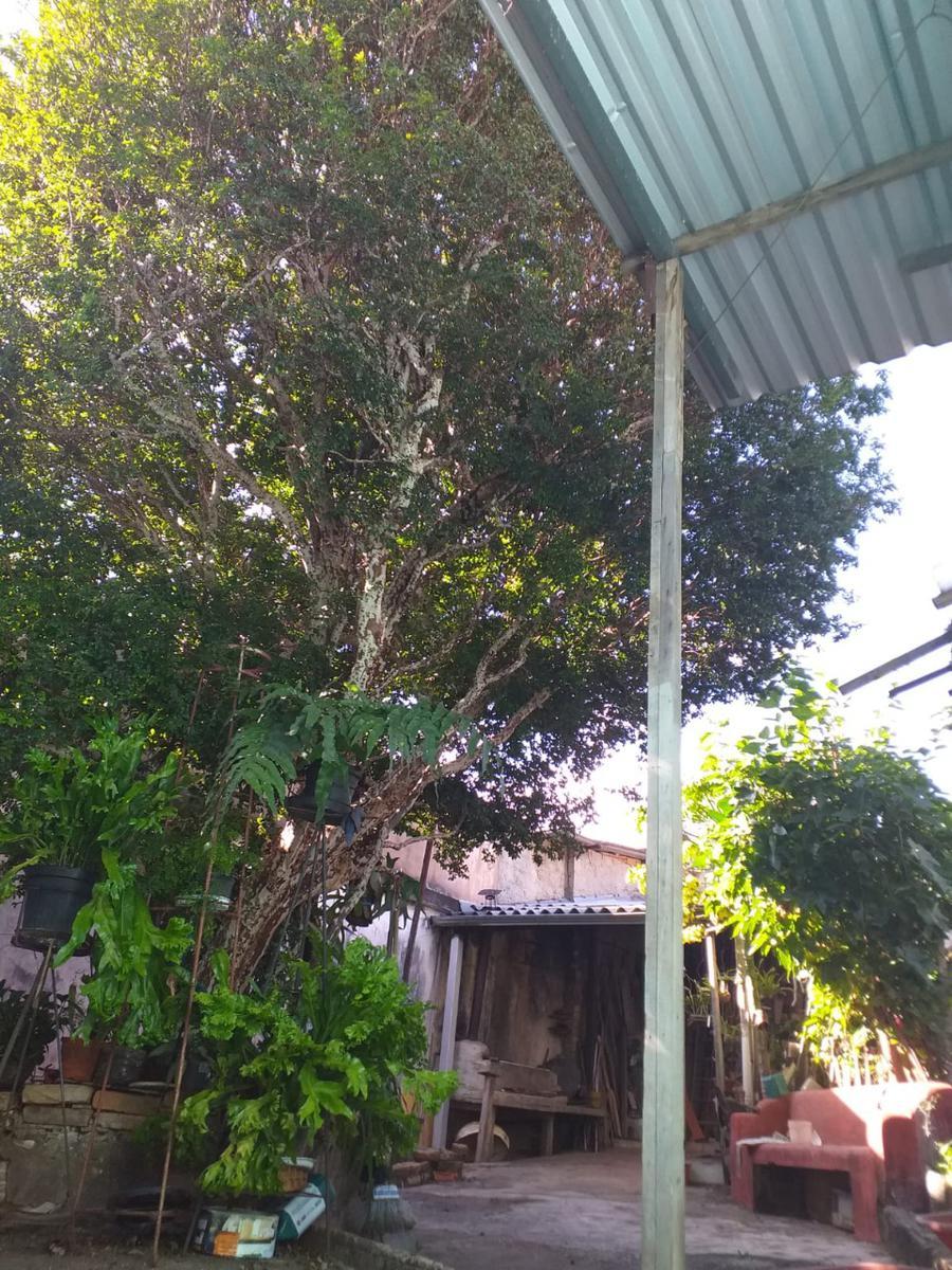 Casa, Concórdia, 4 Quartos, 2 Vagas, 1 Suíte
