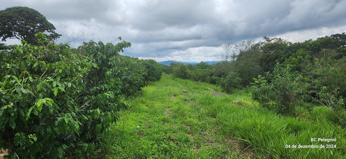 Fazenda, Centro, 2 Quartos, 1 Vaga, 1 Suíte