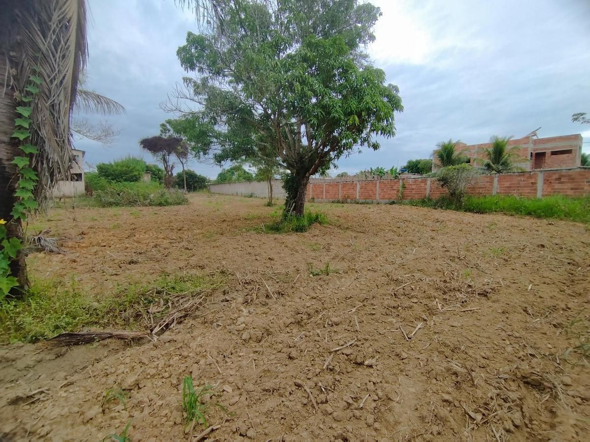 Lote, São Sebastião de Braúnas, 0 Quarto, 0 Vaga