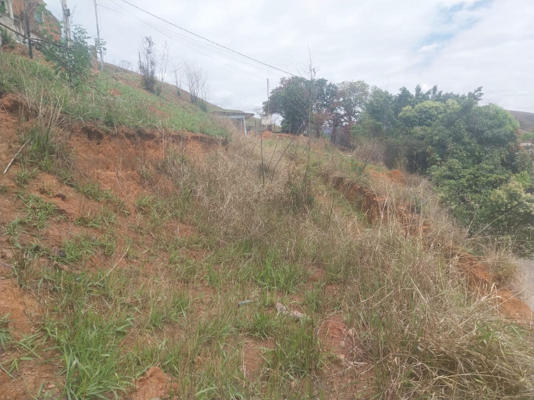 Lote, Caladinho, 0 Quarto, 0 Vaga