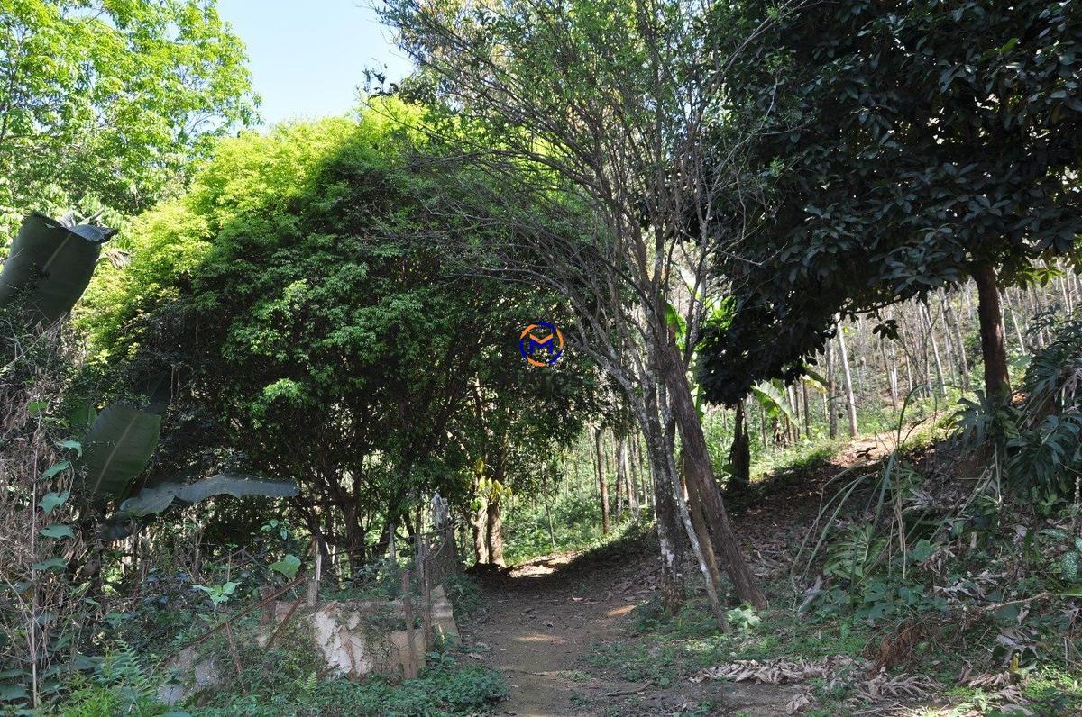 Lote, Ime Farage, 0 Quarto, 0 Vaga