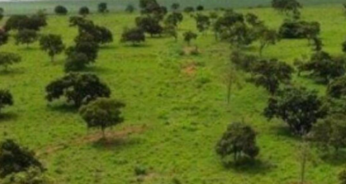 Fazenda, Zona Rural, 0 Quarto, 0 Vaga