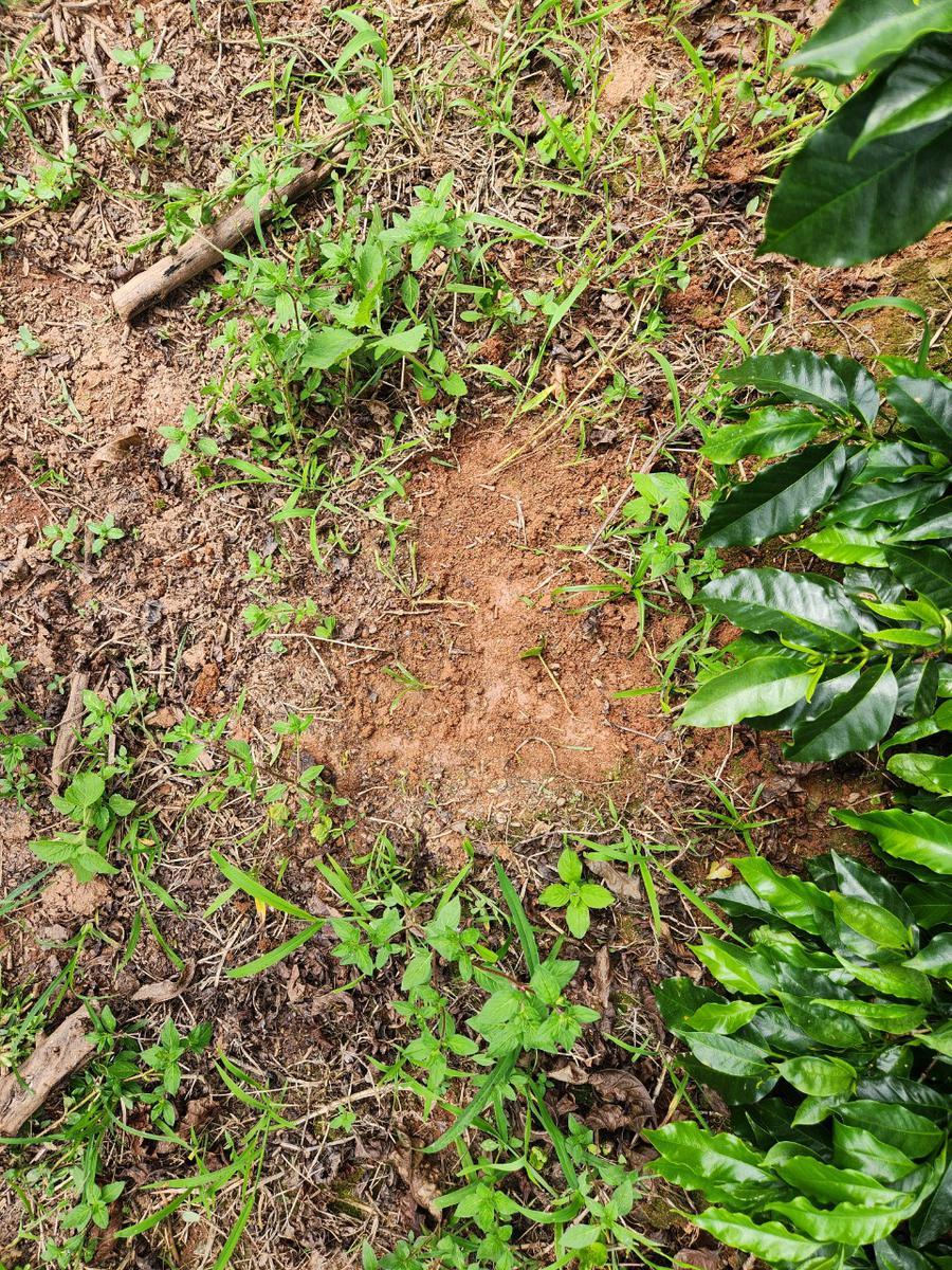 Fazenda, Zona Rural, 3 Quartos, 0 Vaga