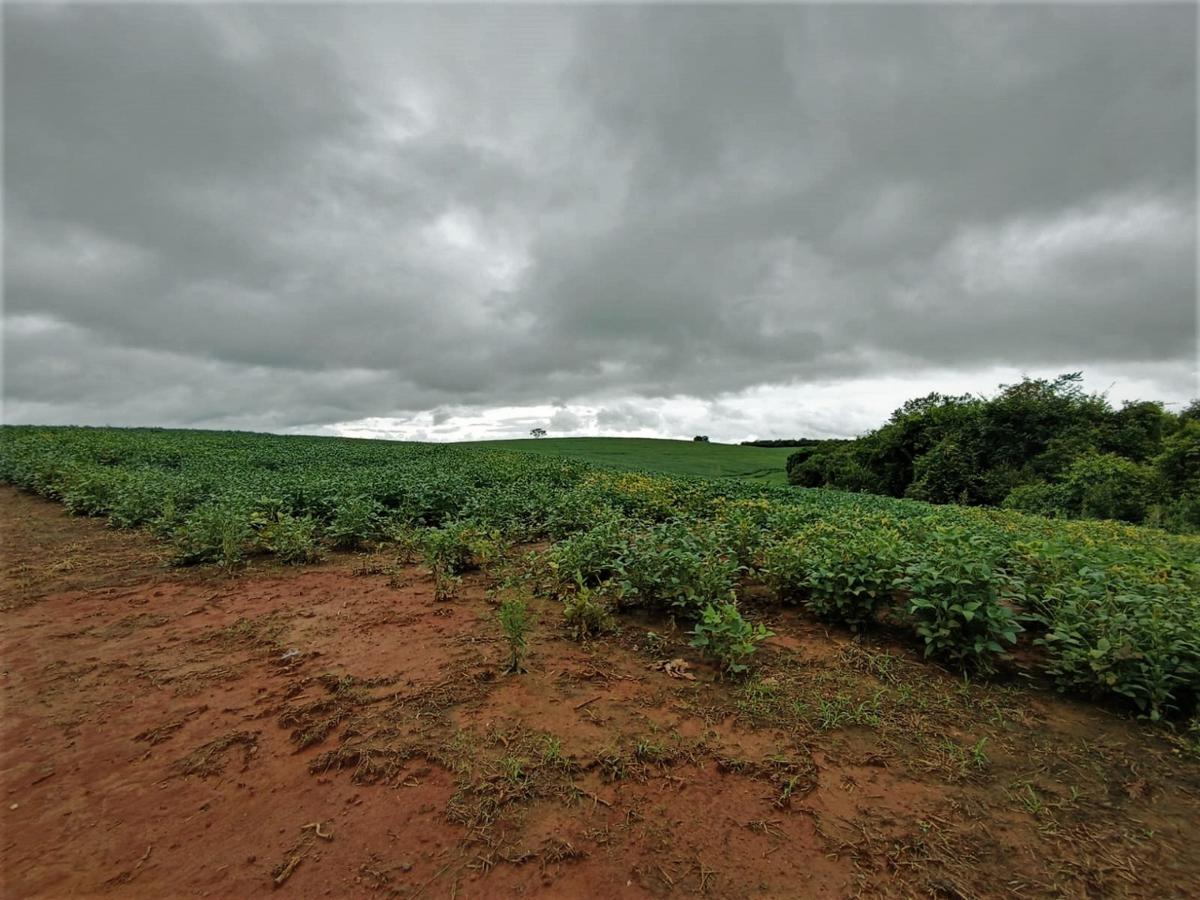 Fazenda, Centro, 0 Quarto, 0 Vaga, 1 Suíte