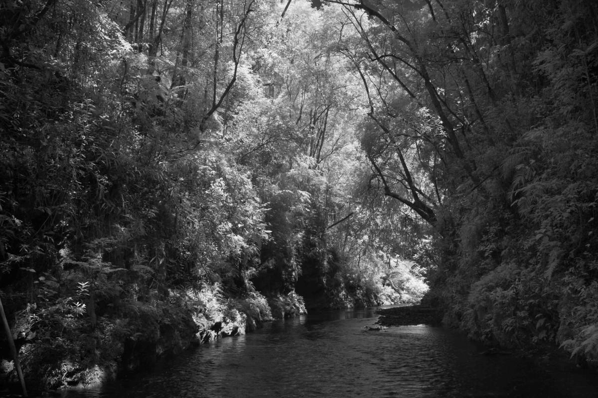 Lote, Village Sans Souci, 0 Quarto, 0 Vaga