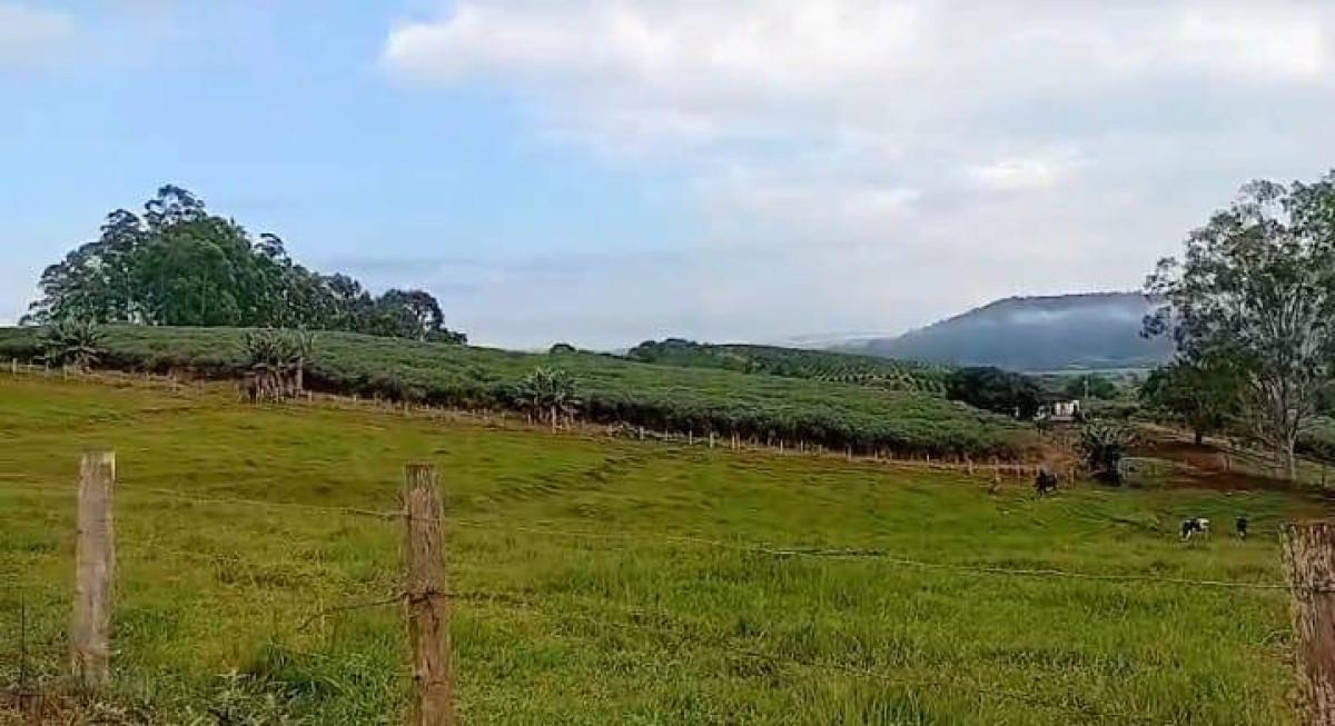 Fazenda, Zona Rural, 0 Quarto, 0 Vaga