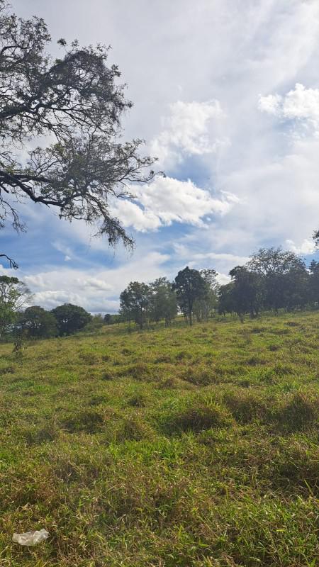 Lote, Tavares, 0 Quarto, 0 Vaga