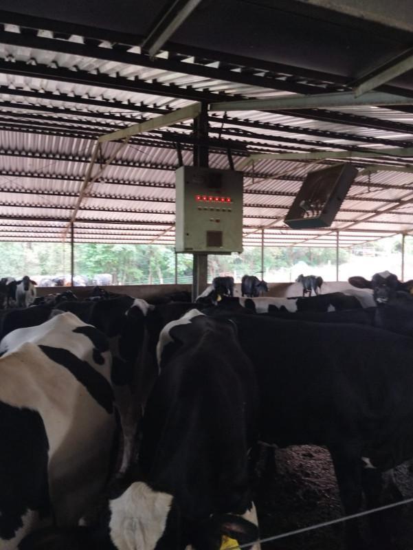 Fazenda, Área Rural de Pará de Minas, 0 Quarto, 0 Vaga