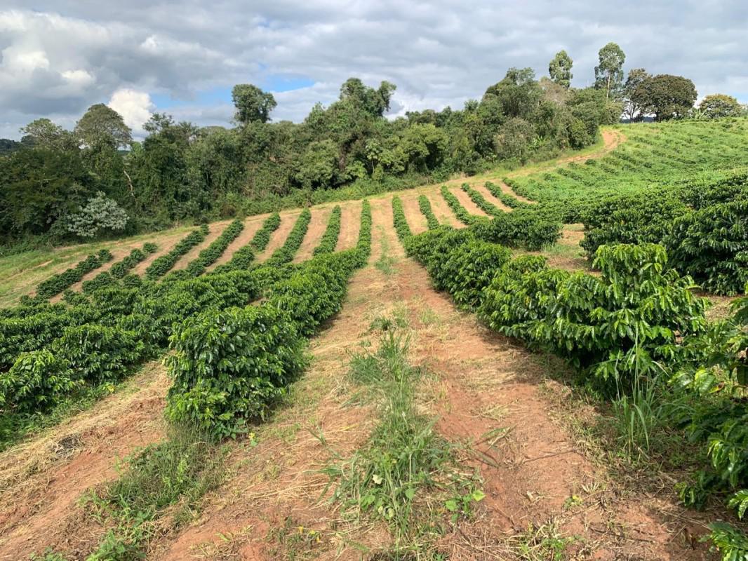 Fazenda, Centro, 2 Quartos, 1 Vaga, 1 Suíte