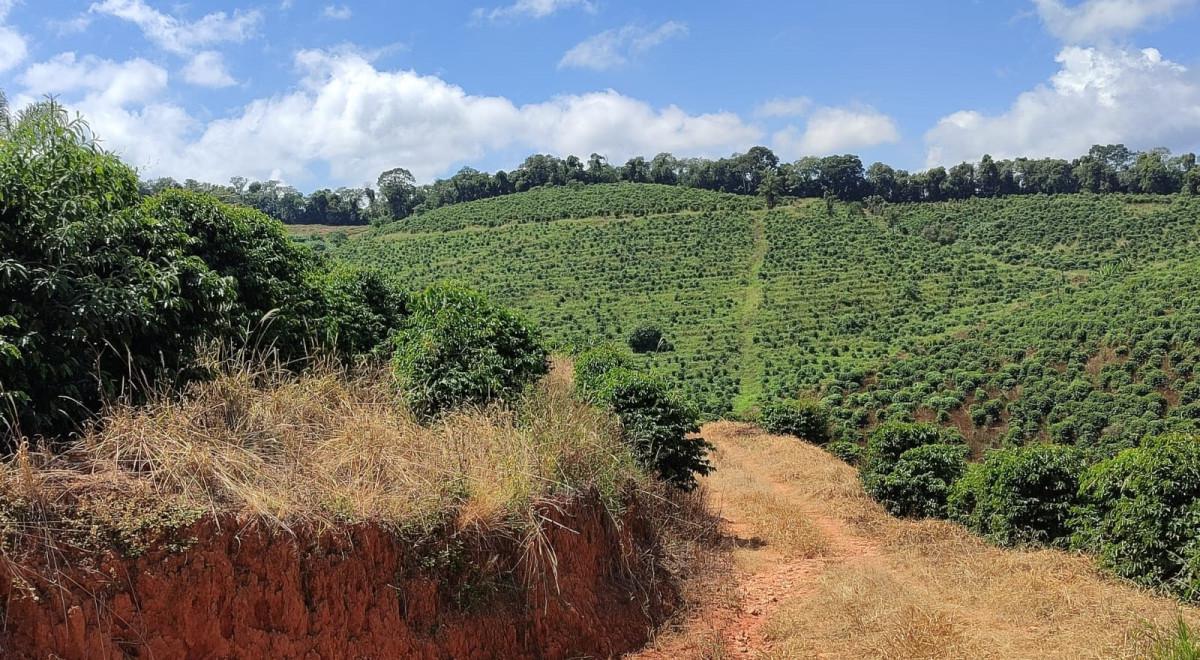Fazenda, Zona Rural, 0 Quarto, 0 Vaga