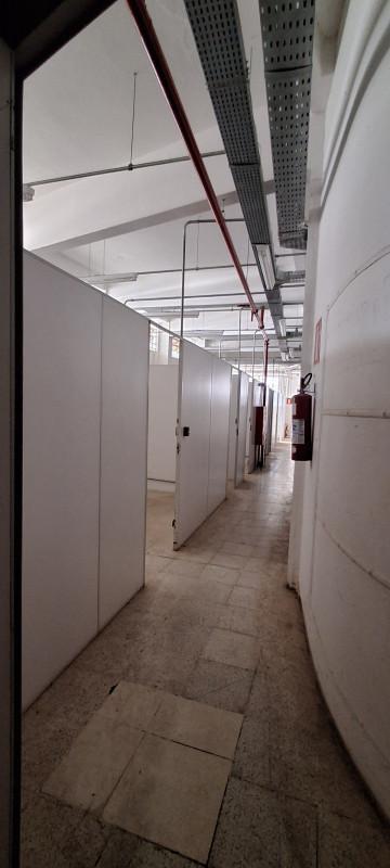 Andar, Floresta, 0 Quarto, 6 Vagas