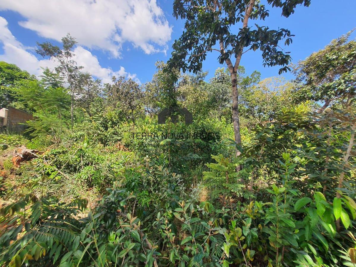 Lote, Condomínio Estância da Mata, 0 Quarto