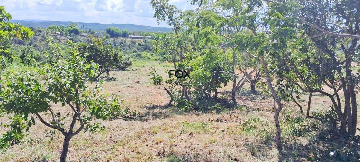 Lote, Centro, 0 Quarto, 0 Vaga