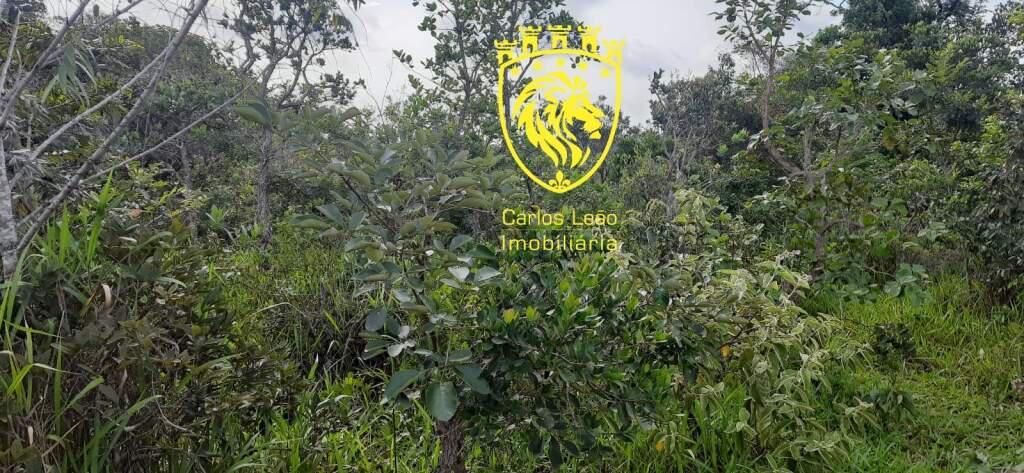 Fazenda, Centro, 0 Quarto, 0 Vaga