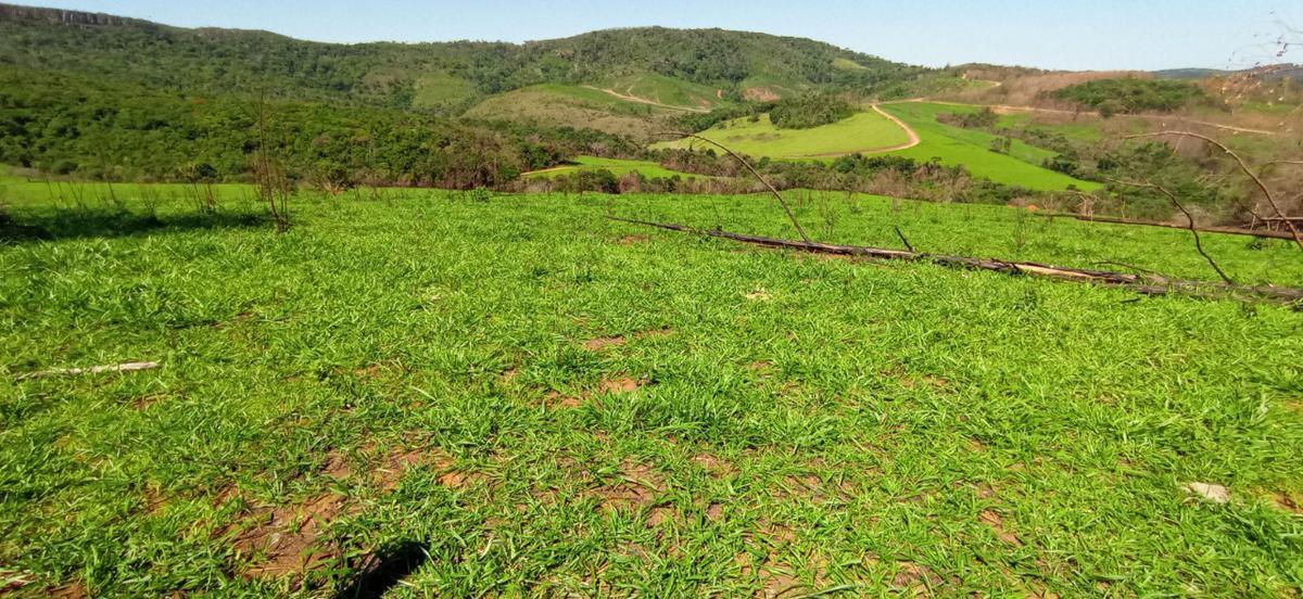 Fazenda, Zona Rural, 0 Quarto, 0 Vaga