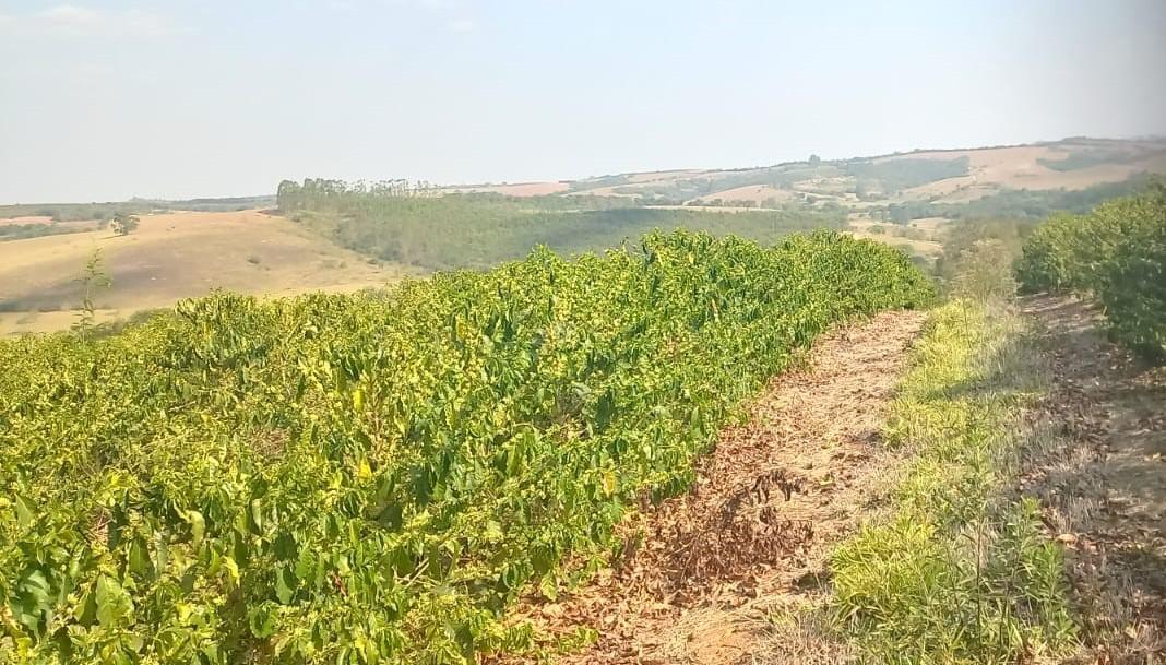 Fazenda, Zona Rural, 4 Quartos, 0 Vaga