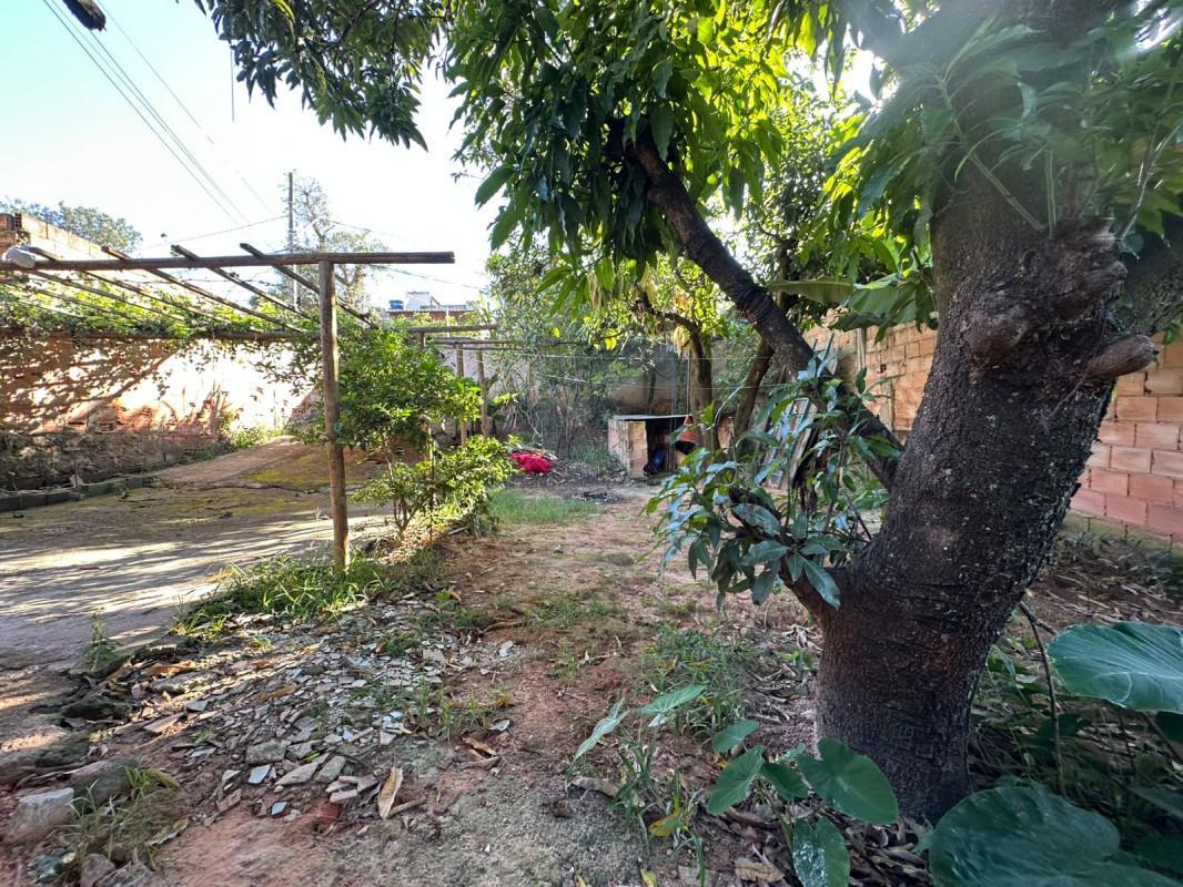Lote, Dom Bosco, 0 Quarto, 0 Vaga