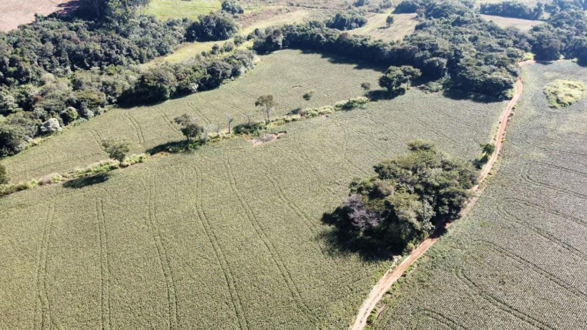 Fazenda, Centro, 0 Quarto, 0 Vaga