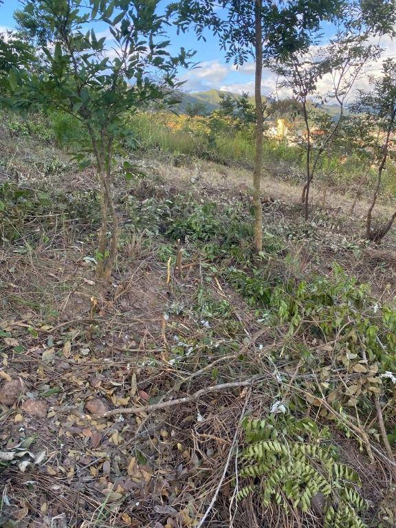 Lote, Água Férrea, 0 Quarto, 0 Vaga