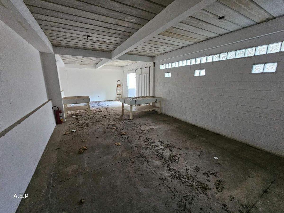 Casa, Lourdes, 4 Quartos, 12 Vagas