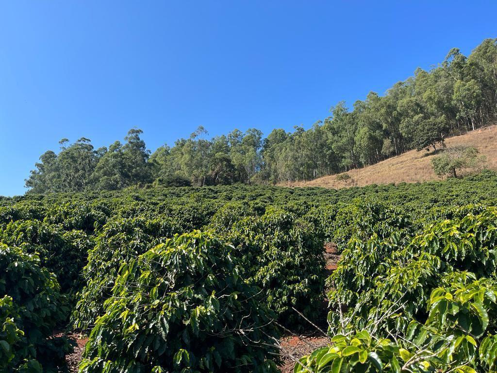 Fazenda, Zona Rural, 1 Quarto, 0 Vaga