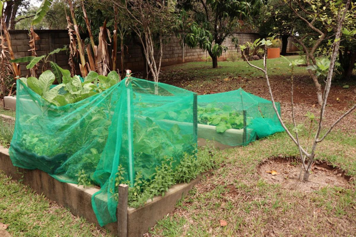 Fazenda, Parque Jardim Encantado, 4 Quartos, 4 Vagas, 1 Suíte