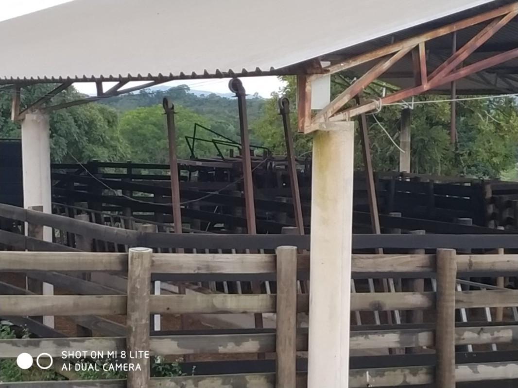Fazenda, Centro, 0 Quarto, 0 Vaga
