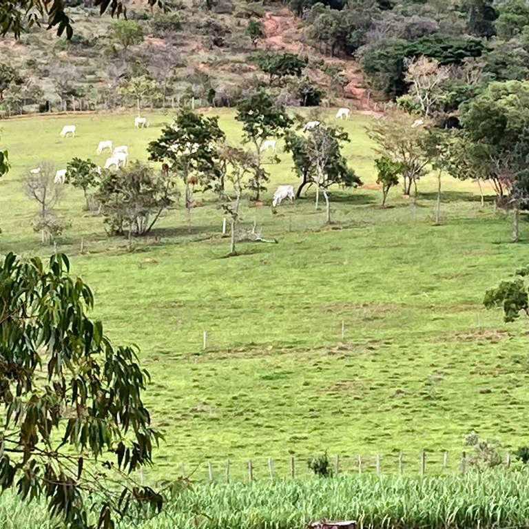 Fazenda, Centro, 4 Quartos, 10 Vagas, 1 Suíte