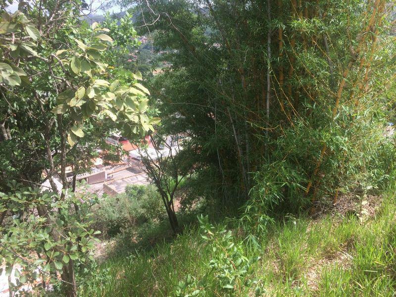 Lote, Santo Antônio (roça Grande), 0 Quarto, 0 Vaga