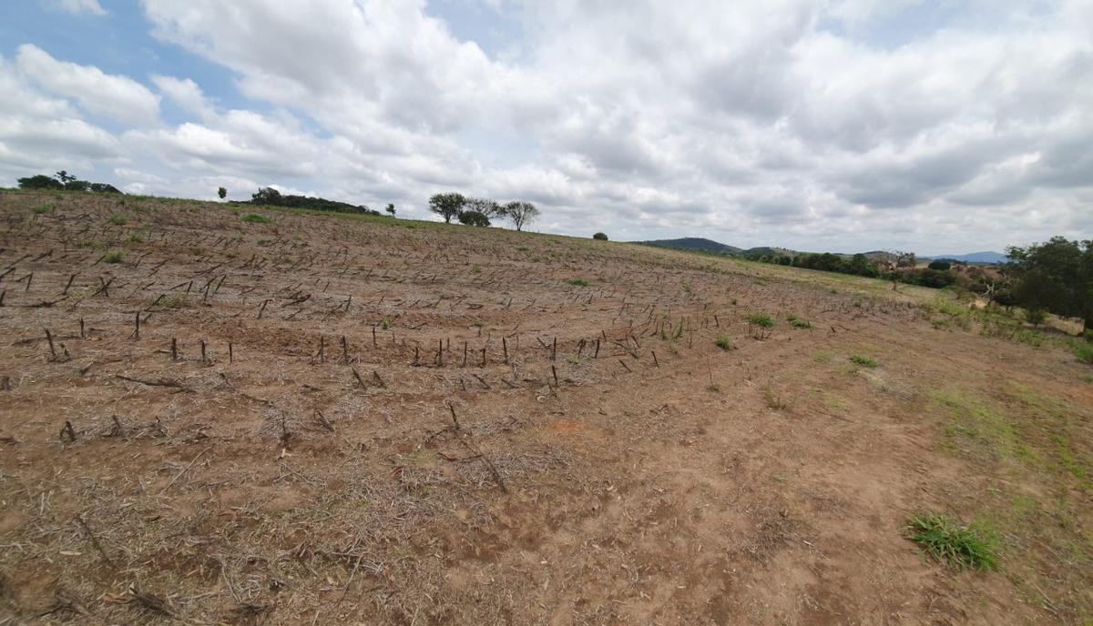 Fazenda, Centro, 1 Quarto, 1 Vaga, 1 Suíte