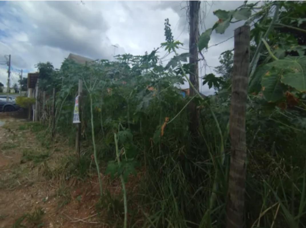 Lote, Recanto Verde, 0 Quarto, 0 Vaga
