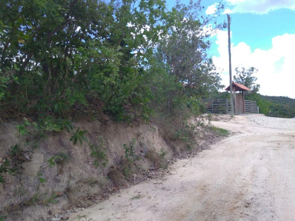 Lote, Ravena, 0 Quarto, 0 Vaga