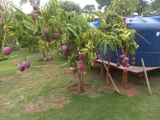 Fazenda, Serra Morena, 3 Quartos, 10 Vagas, 1 Suíte