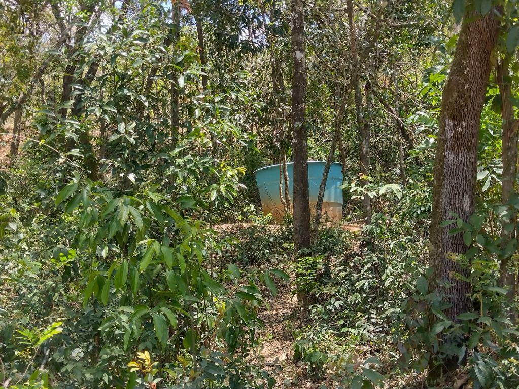 Fazenda, Adelmolândia, 0 Quarto, 0 Vaga