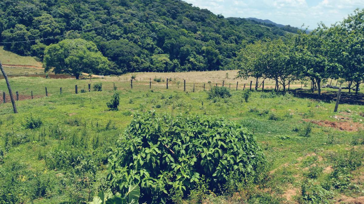 Fazenda, Zona Rural, 3 Quartos, 0 Vaga