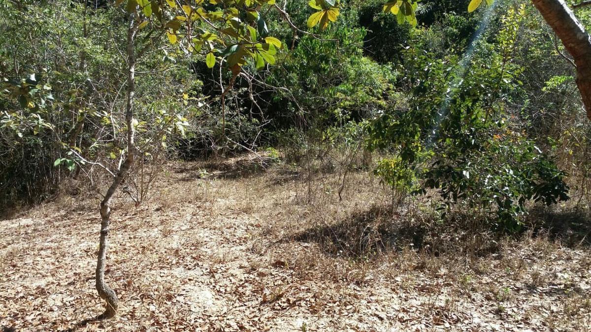 Lote, Zona Rural, 0 Quarto, 0 Vaga