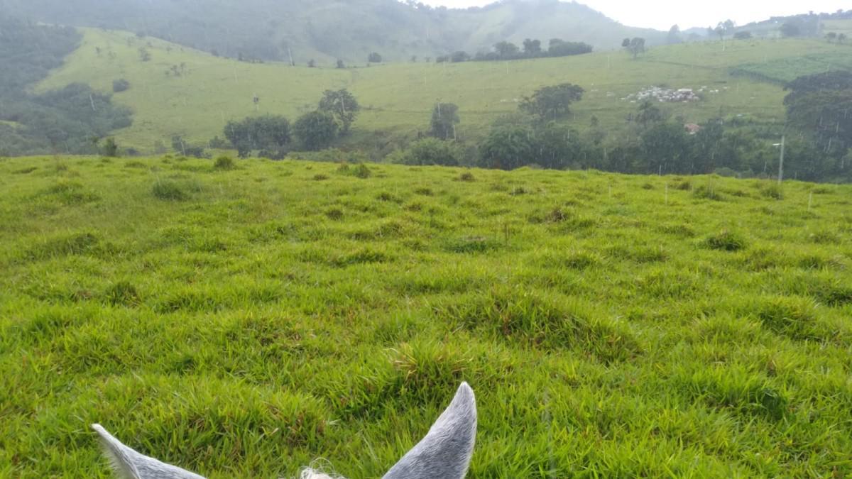 Fazenda, Zona Rural, 0 Quarto, 0 Vaga