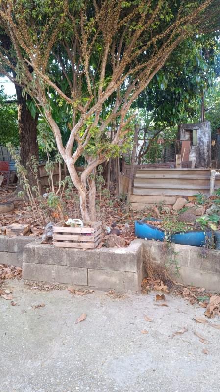 Lote, Pedra Azul, 0 Quarto, 0 Vaga