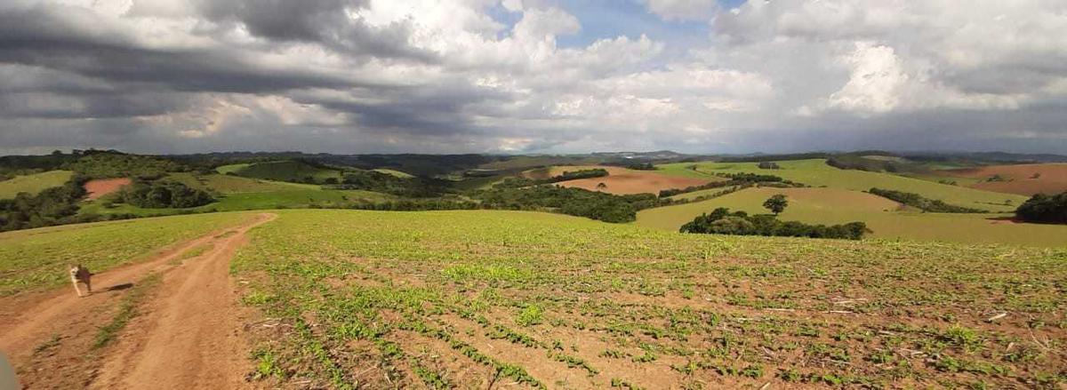 Fazenda, Centro, 0 Quarto, 0 Vaga
