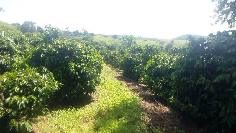 Fazenda, Zona Rural, 0 Quarto, 0 Vaga