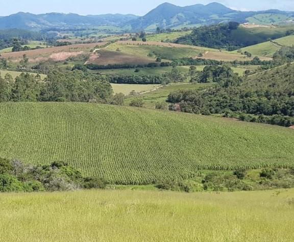 Fazenda, Zona Rural, 3 Quartos, 0 Vaga